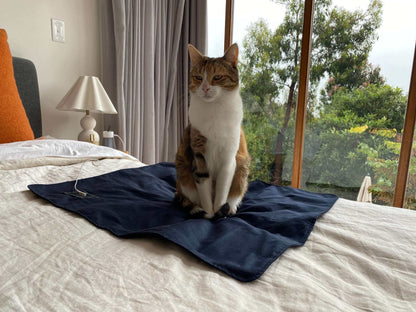 cat sitting on grounding mat